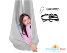 Sensory Indoor Swing